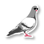 CITY PIGEON STICKER