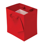 SMALL RED GIFT BAG & TISSUE PAPER